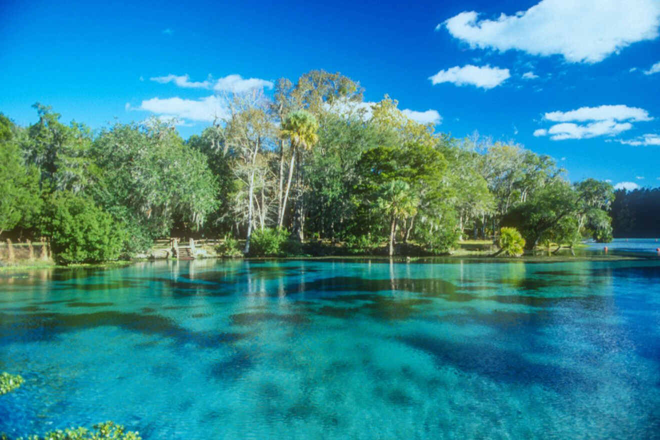 Silver Springs