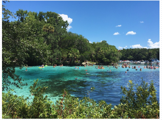 Rainbow Springs