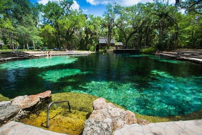 Juniper Springs