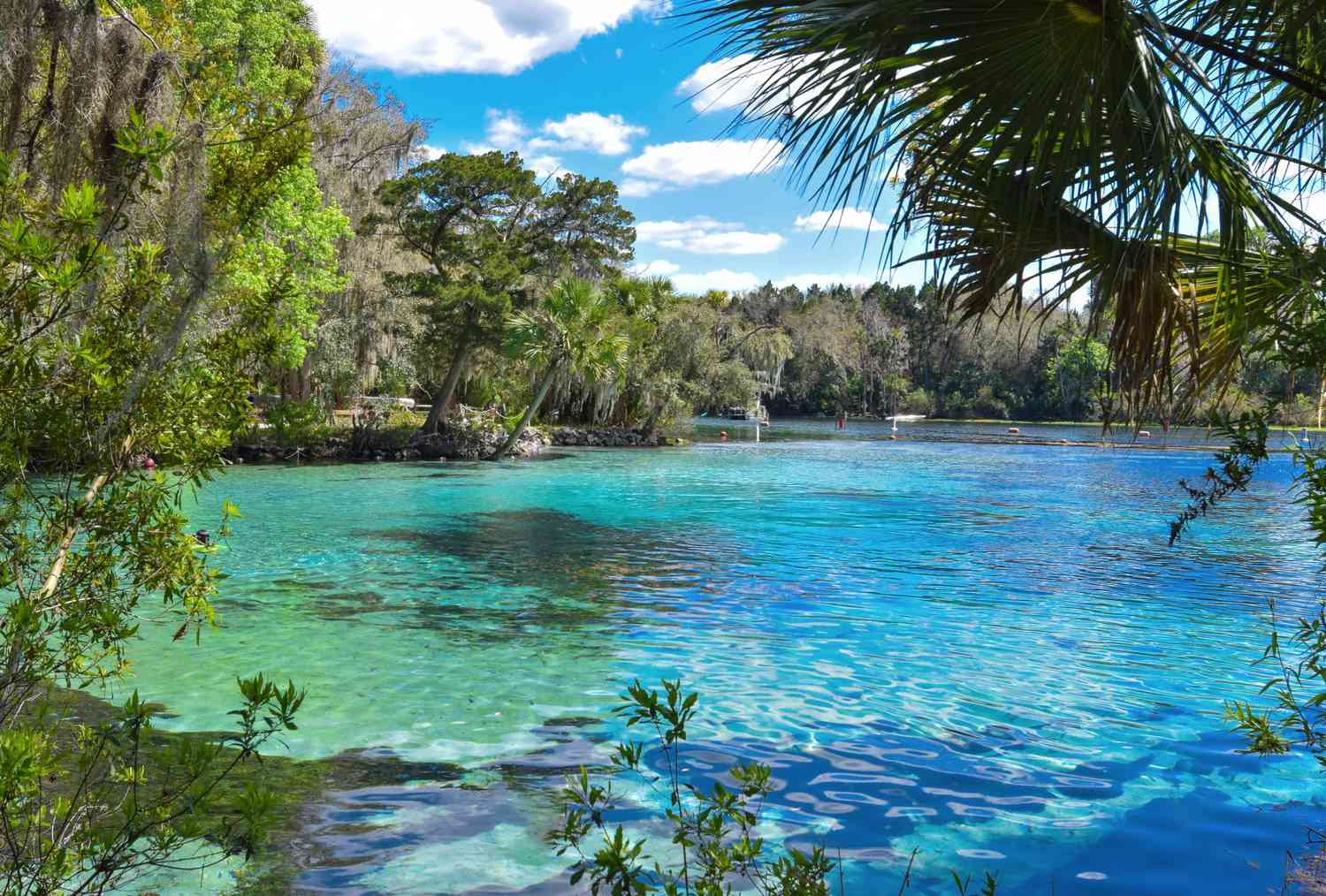Three Sisters Springs